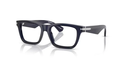 BURBERRY 2419 4120