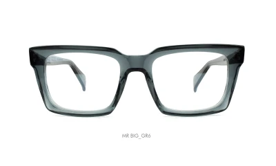 DANDY'S BEL MR BIG GR6