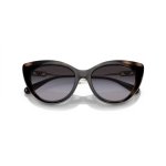EMPORIO ARMANI 4213U 50171W 2x clip-on
