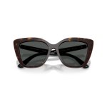  EMPORIO ARMANI 4254U 501/71W clip-on