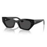   RAY-BAN ZENA 4430 667787 