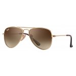 Ray-Ban Junior 9506S 223/13