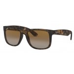 RB JUSTIN 4165 865/T5