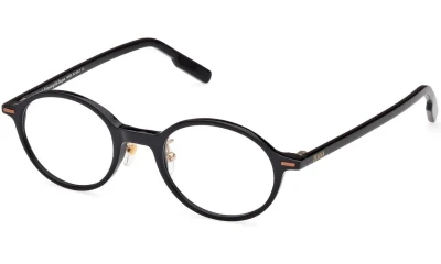   ZEGNA EZ5256 001